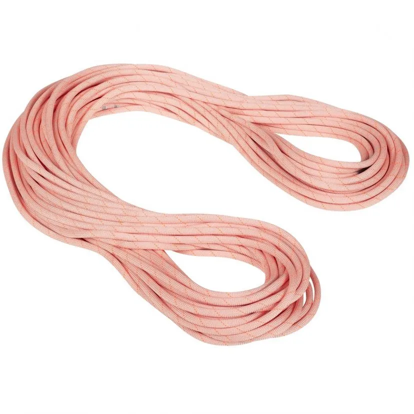 Mammut 9.9 Gym Workhorse Classic Rope Corda Arrampicata - immagine 3