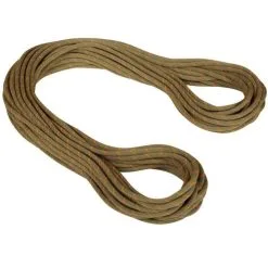 Mammut 9.9 Gym Workhorse Classic Rope Corda Arrampicata