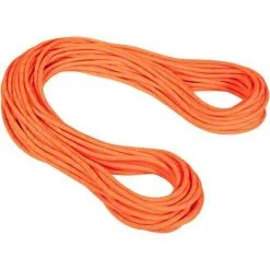 Mammut 9.5 Alpine Dry Rope Corda Arrampicata