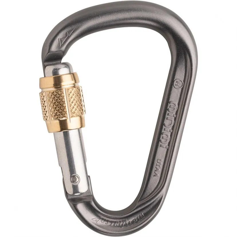 AustriAlpin HMS Mini.Mi Moschettone Con Ghiera In Ottone - immagine 2