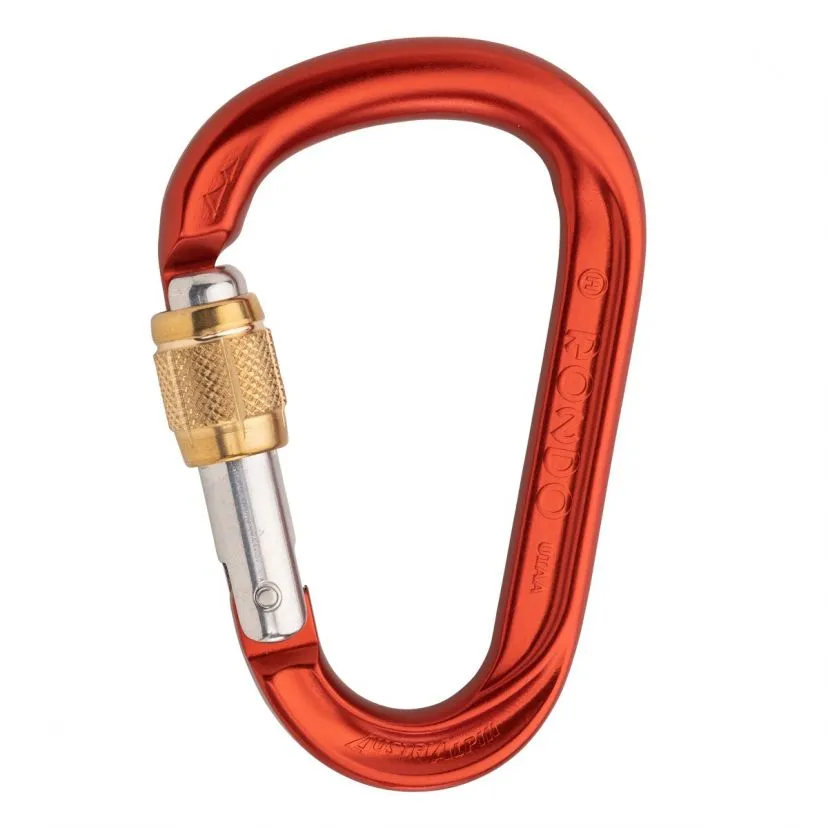 AustriAlpin HMS Rondo Moschettone Con Ghiera In Ottone - immagine 2